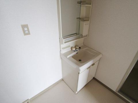 Washroom. Bathroom vanity