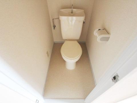 Toilet. Toilet