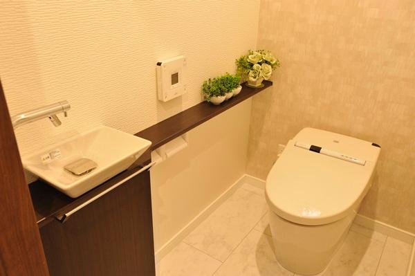 Toilet. Space-saving tankless toilet