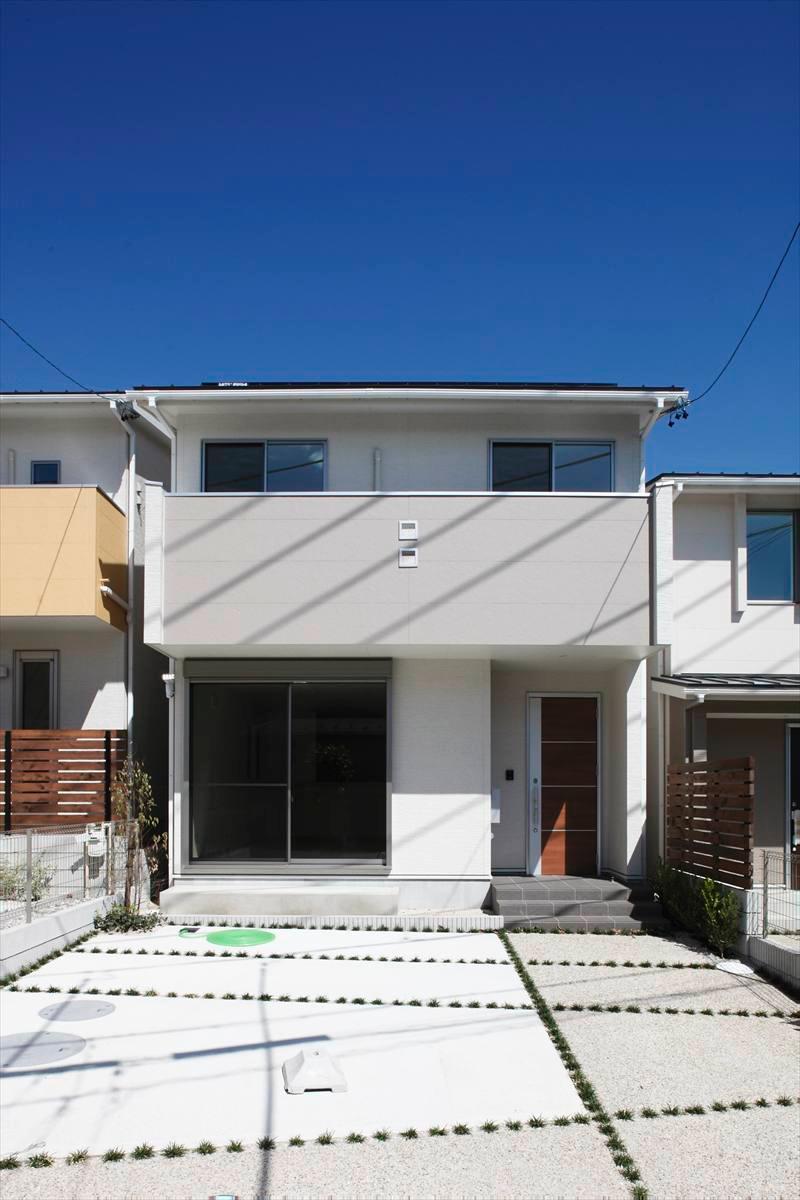 Rendering (appearance). B Togaikan photo