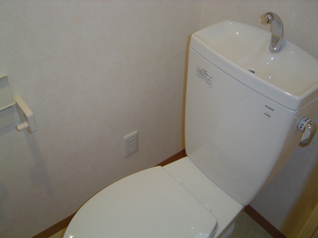 Toilet. In front there is a shelf with a door that can be stored is small.