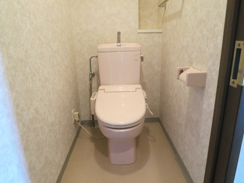 Entrance. Toilet