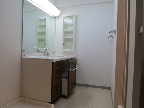 View. Vanity with a shower head