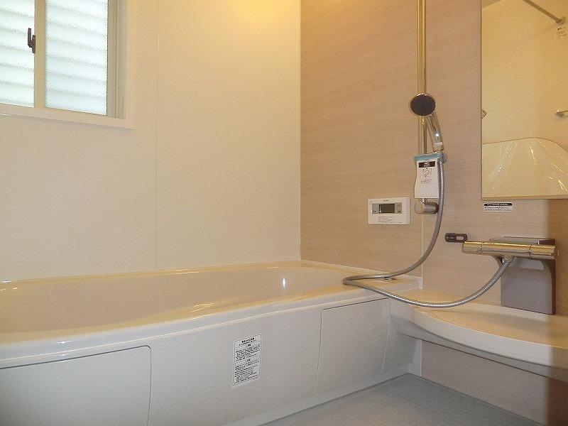 Bathroom. Local (September 2013) Shooting