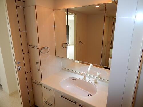 Wash basin, toilet. Bathroom vanity