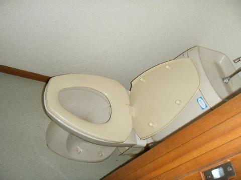 Toilet. WC