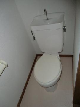 Toilet. WC