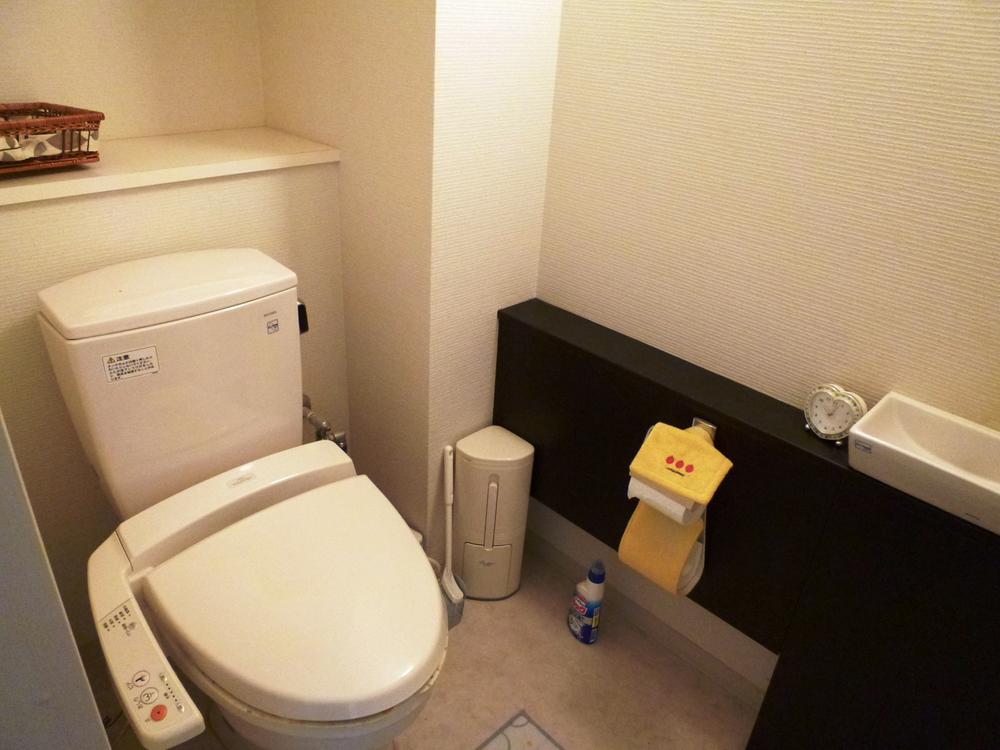 Toilet. Abundant storage, Hand washing is a bowl with a counter (April 2013) Shooting