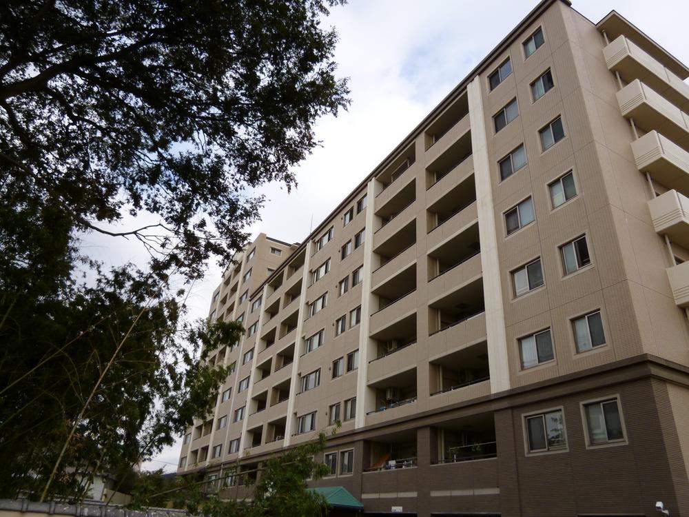 Local appearance photo. Local (10 May 2013) Shooting