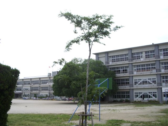 Primary school. 730m up to municipal Kasuga elementary school (elementary school)