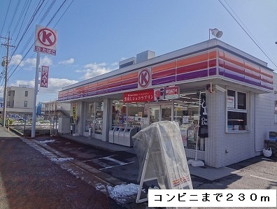 Convenience store. 230m to Circle K Kiyosu Kamijo store (convenience store)