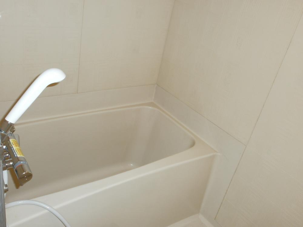 Bathroom. Indoor (10 May 2013) Shooting