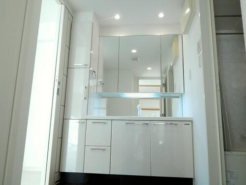 Wash basin, toilet. Bathroom vanity