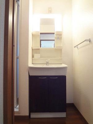 Washroom. Bathroom vanity