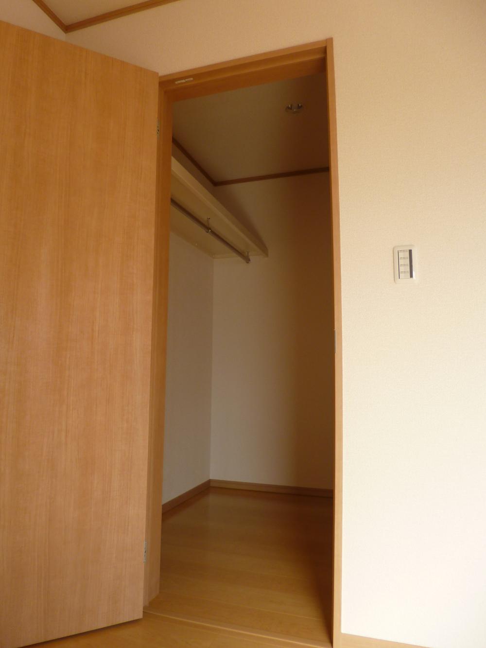 Other. * Different from the actual ones