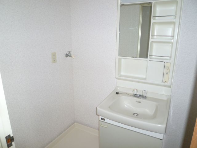 Washroom. Separate vanity & Indoor Laundry Storage