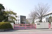 Primary school. Komaki City Momokeoka to elementary school 630m walk about 8 minutes