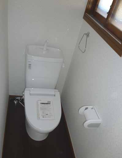 Toilet. Washing Western Toilet