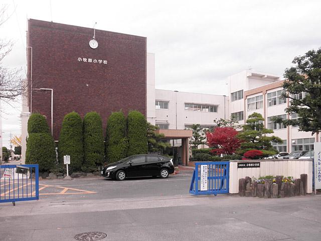 Primary school. 620m to Gen Komaki elementary school