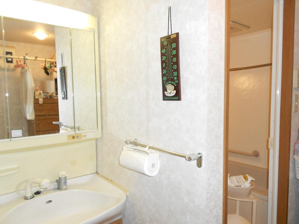 Wash basin, toilet. Indoor (September 2012) shooting