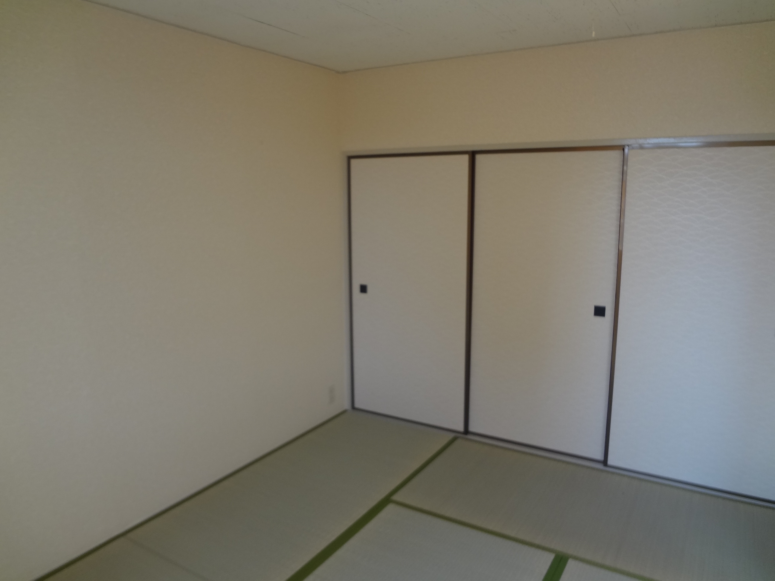 Living and room. Japanese-style room: the smell will be nice rush.