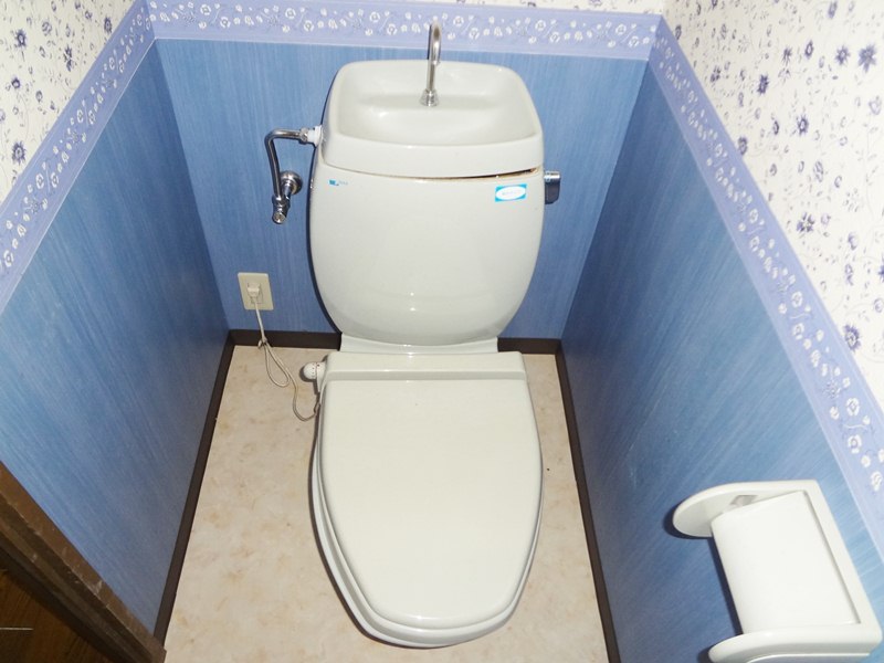 Toilet. I'm using stylish wallpaper
