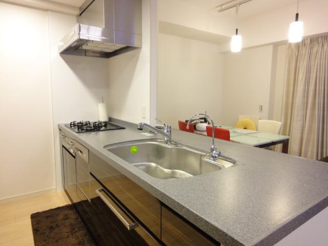 Kitchen. There is no hanging cupboard, Open-minded system kitchen (water purifier ・ Dishwasher dryer)