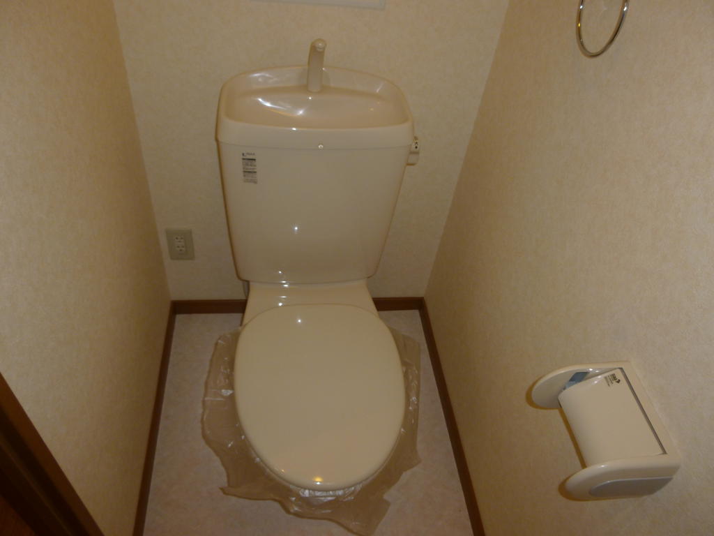 Toilet. Toilet it is simple and comes with a handy shelf that can be stored! 