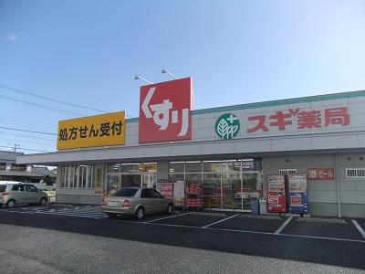 Drug store. Cedar pharmacy Takaya store (November 2013) Shooting