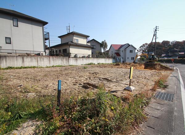 Local appearance photo. Local early December shooting