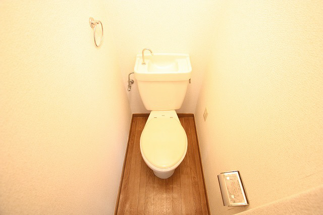 Toilet. It comes with a towel rack.