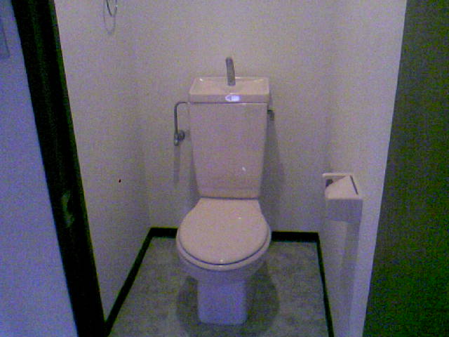 Toilet