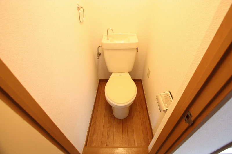 Toilet. It comes with a towel rack. 