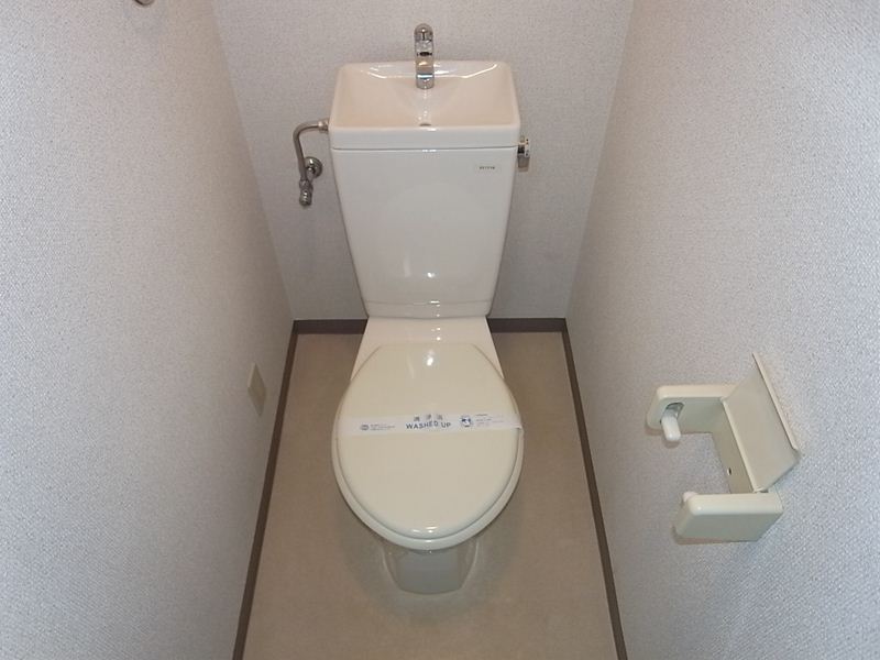 Toilet. Warm water washing toilet seat mounted Allowed toilet