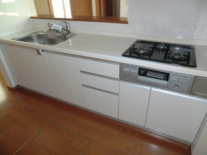 Kitchen. Local (12 May 2013) Shooting