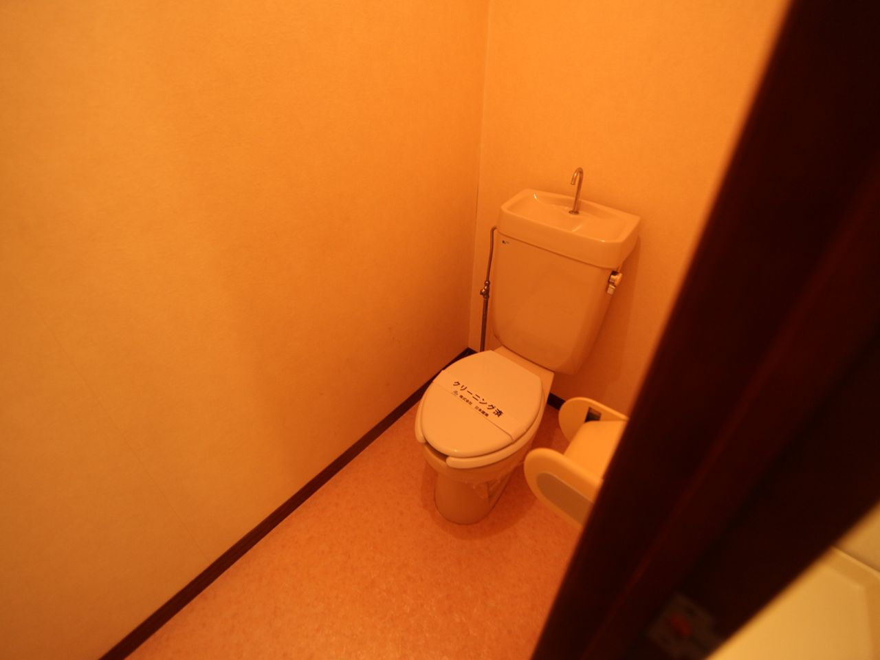 Toilet. Western-style toilet