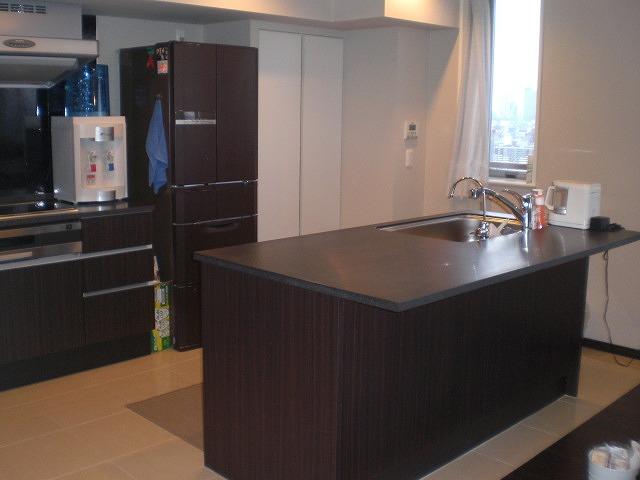 Kitchen. Island-type kitchen