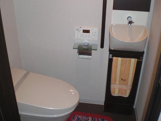 Toilet. Warm water washing toilet