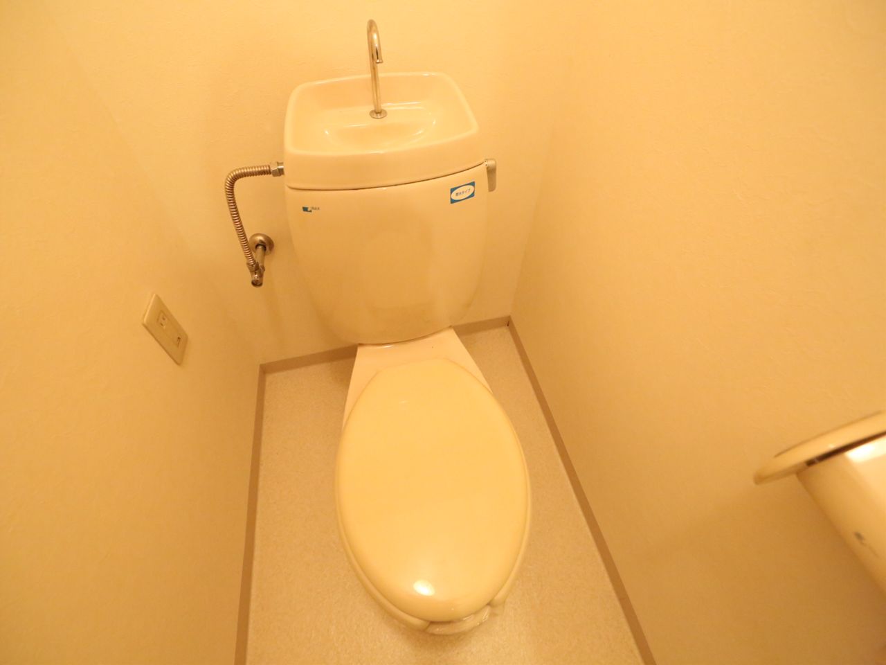 Toilet. Warm water washing toilet seat mounting Allowed toilet