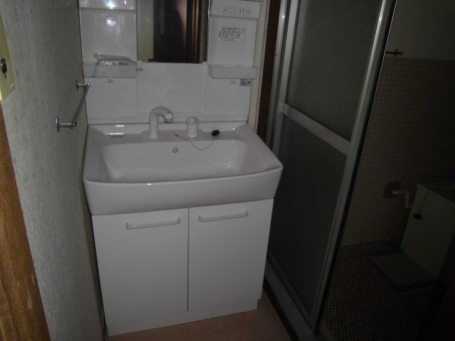 Washroom. Grooming check in clean wash basin