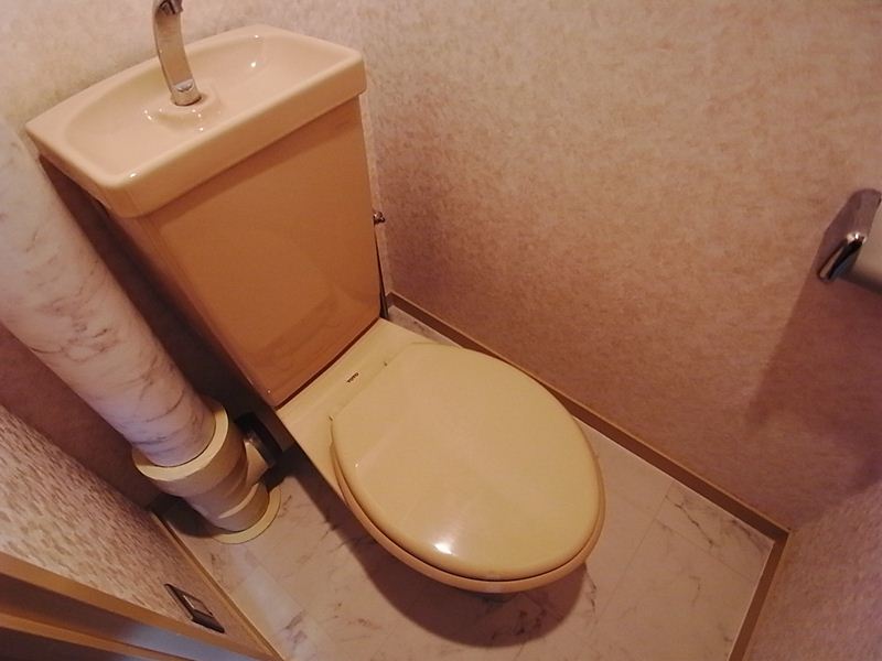 Toilet. Toilet