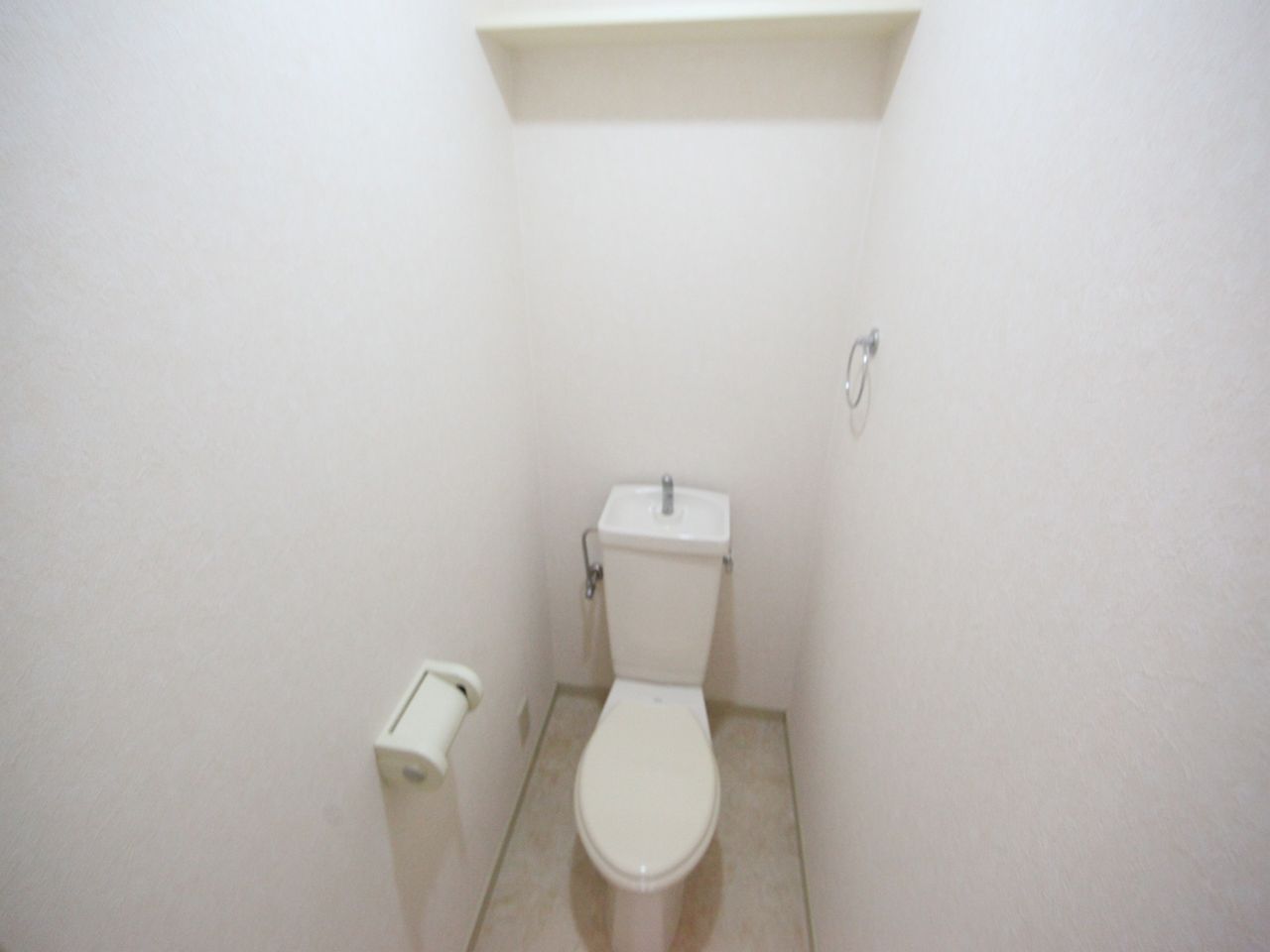 Toilet. Western-style toilet