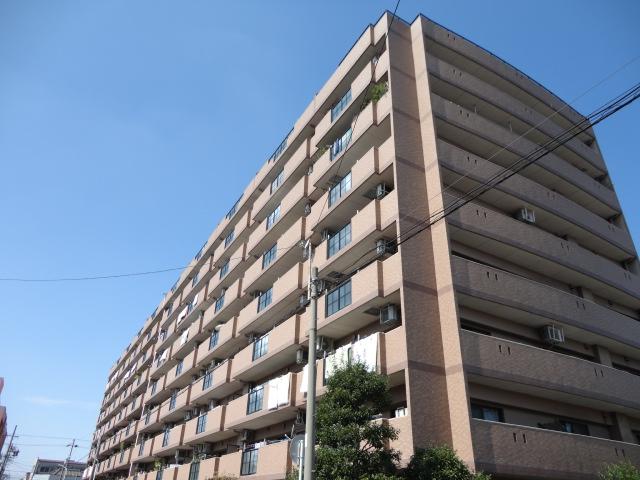 Local appearance photo. 2013 November shooting