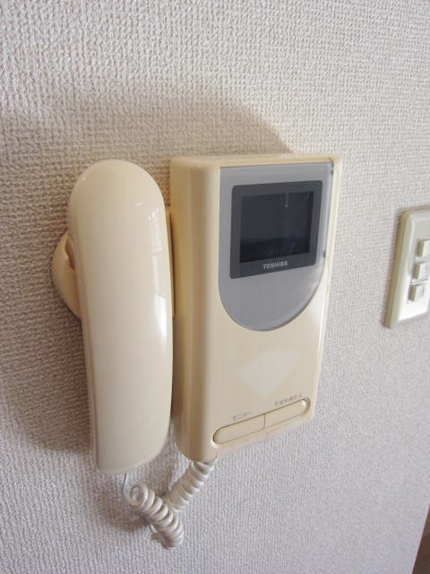 Security. Monitor with intercom