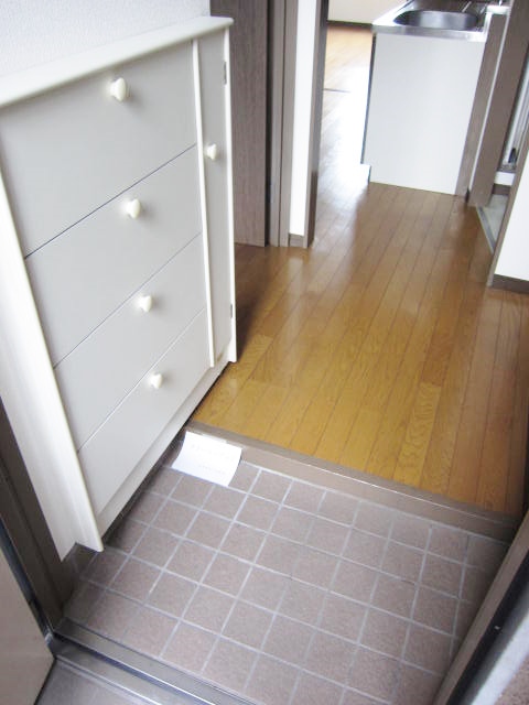 Entrance. Entrance Shoe box