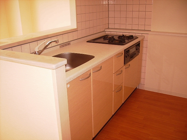 Kitchen. System kitchen Happy is a three-burner stove