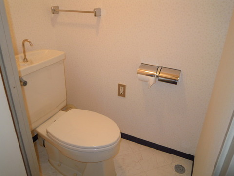 Toilet. Toilet