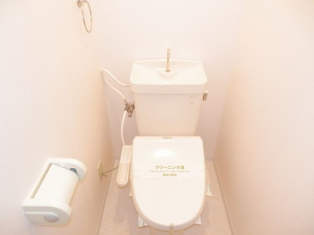 Toilet. It is a toilet with a clean.