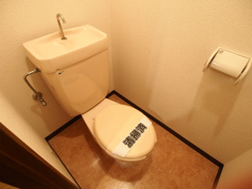 Toilet. Toilet