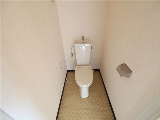 Toilet. Toilet (another bath toilet)